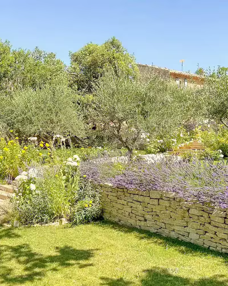 Le jardin en restanques, bordé de lavande, au Mas de Florette